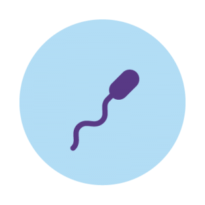 Using Donor Sperm diagram