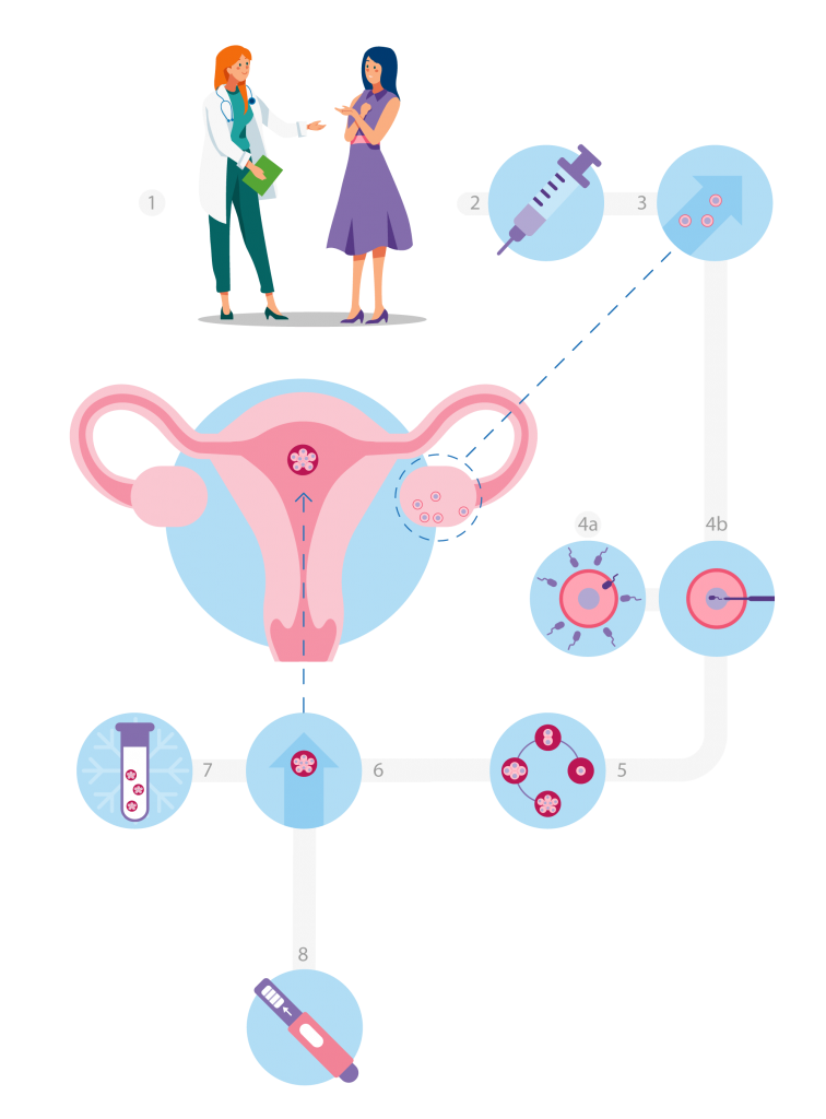 Fertility Preservation (Egg Freezing) Process